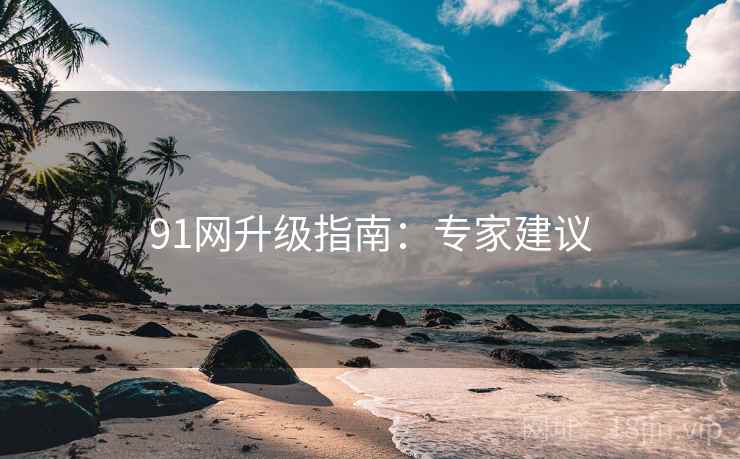 91网升级指南：专家建议