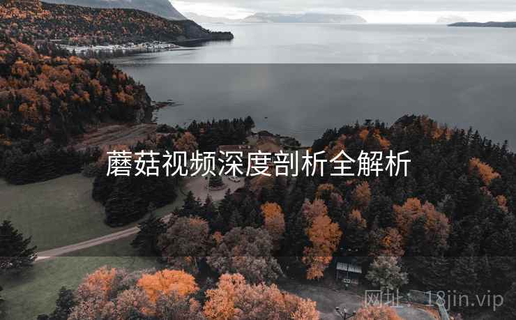 蘑菇视频深度剖析全解析