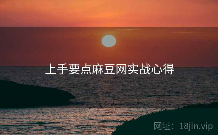 上手要点麻豆网实战心得