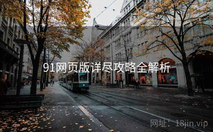 91网页版详尽攻略全解析