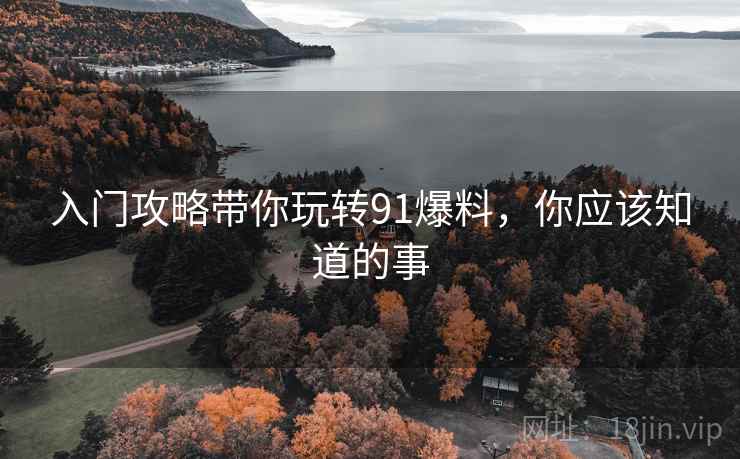 入门攻略带你玩转91爆料，你应该知道的事
