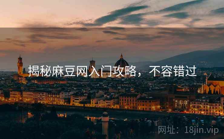 揭秘麻豆网入门攻略，不容错过