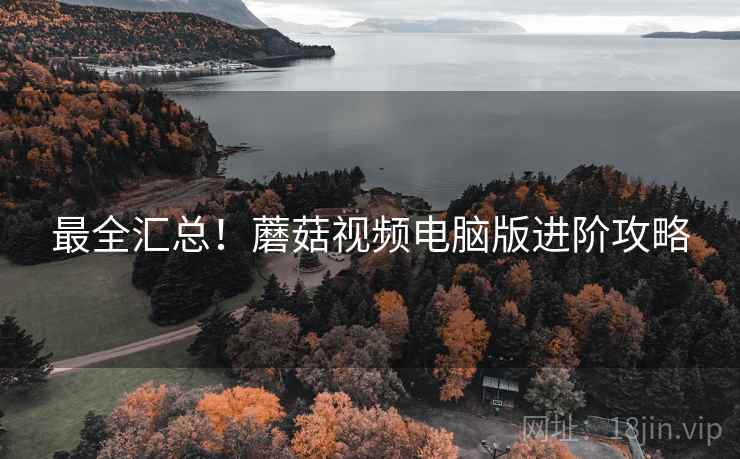 最全汇总！蘑菇视频电脑版进阶攻略