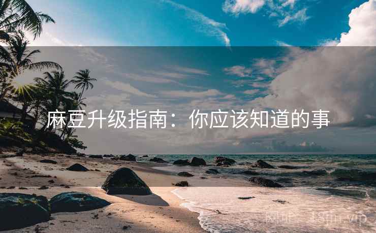 麻豆升级指南：你应该知道的事