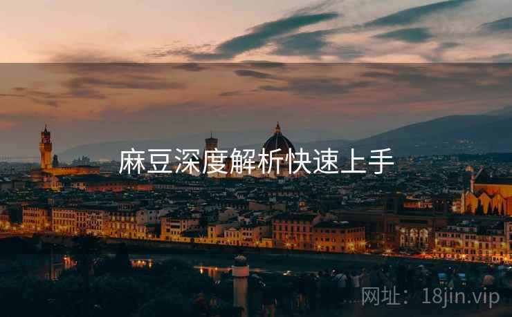 麻豆深度解析快速上手