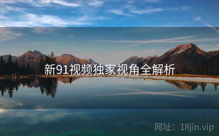 新91视频独家视角全解析