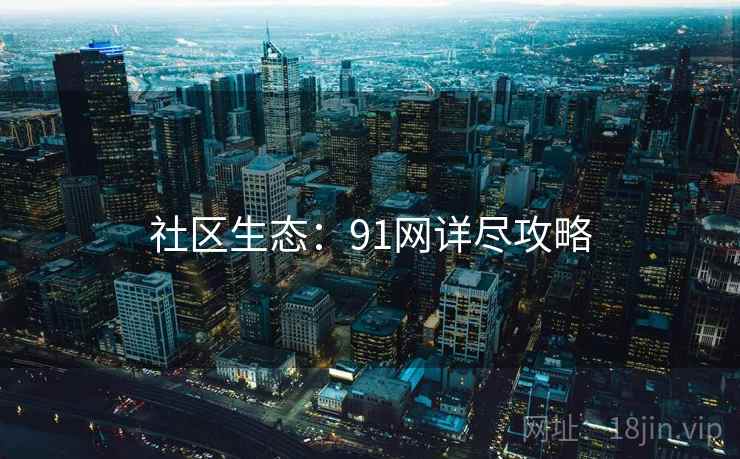 社区生态：91网详尽攻略