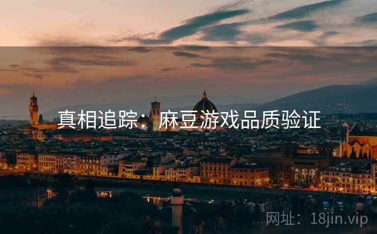 真相追踪：麻豆游戏品质验证
