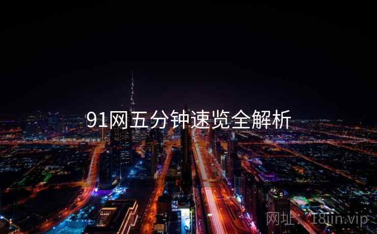 91网五分钟速览全解析