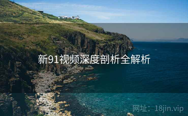 新91视频深度剖析全解析