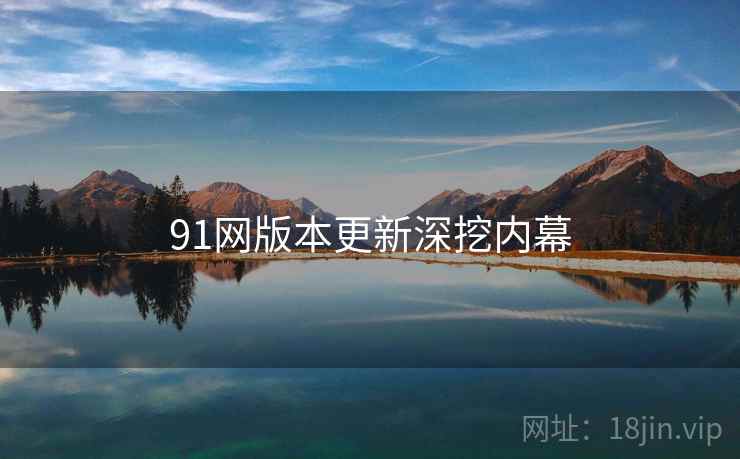 91网版本更新深挖内幕
