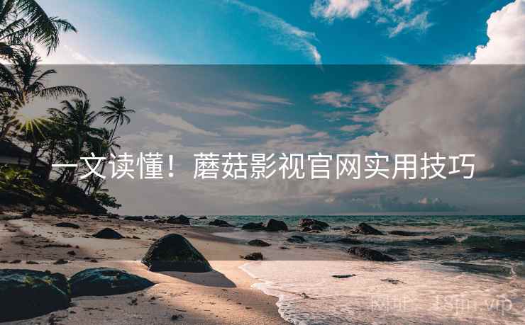 一文读懂！蘑菇影视官网实用技巧