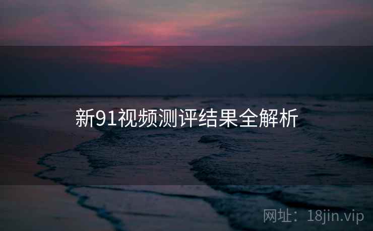 新91视频测评结果全解析