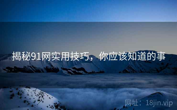 揭秘91网实用技巧，你应该知道的事