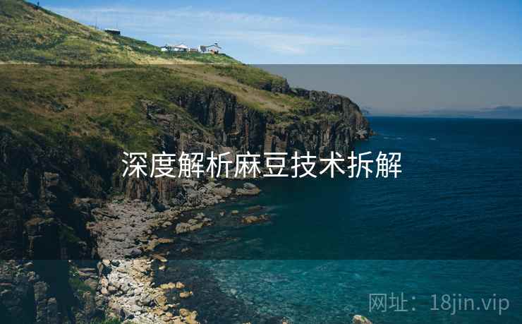 深度解析麻豆技术拆解