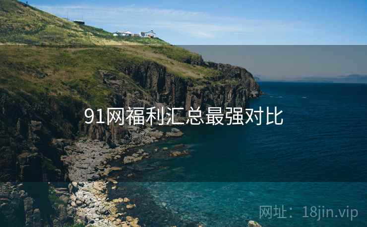 91网福利汇总最强对比